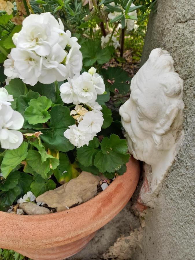 Monti Guesthouse Monti di Licciana Nardi Экстерьер фото